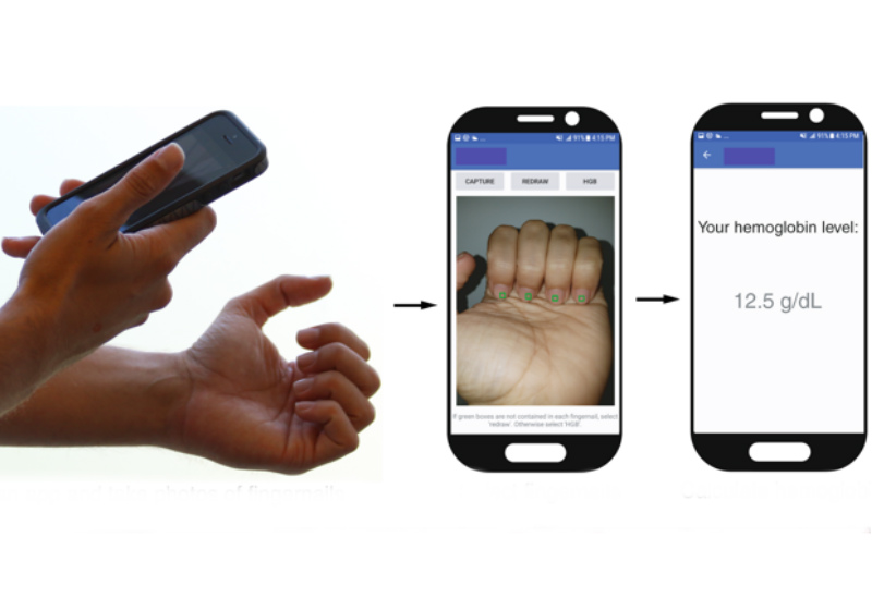 Foto: Nature Communications