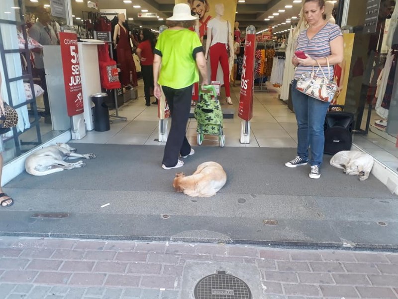 Foto: Reprodução Facebook