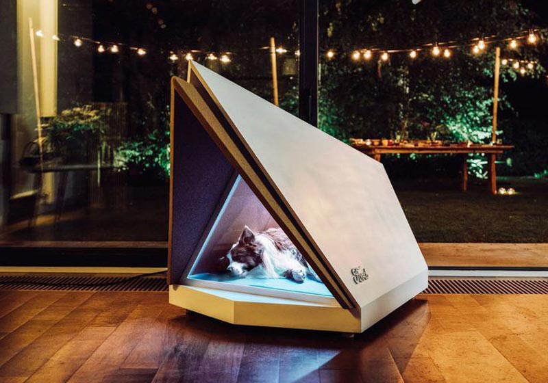 Foto: Reprodução/Ford Europe