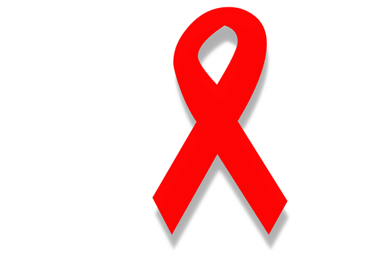 Foto: Pixabay|Foto: divulgaç˜