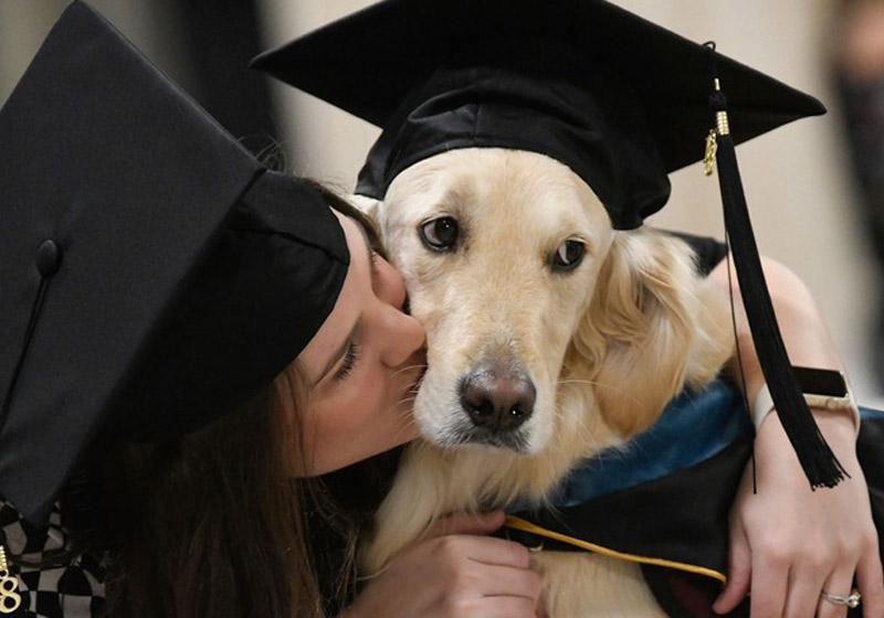 Griffin e Brittany Hawley - Foto: Steve Jacobs/AP||