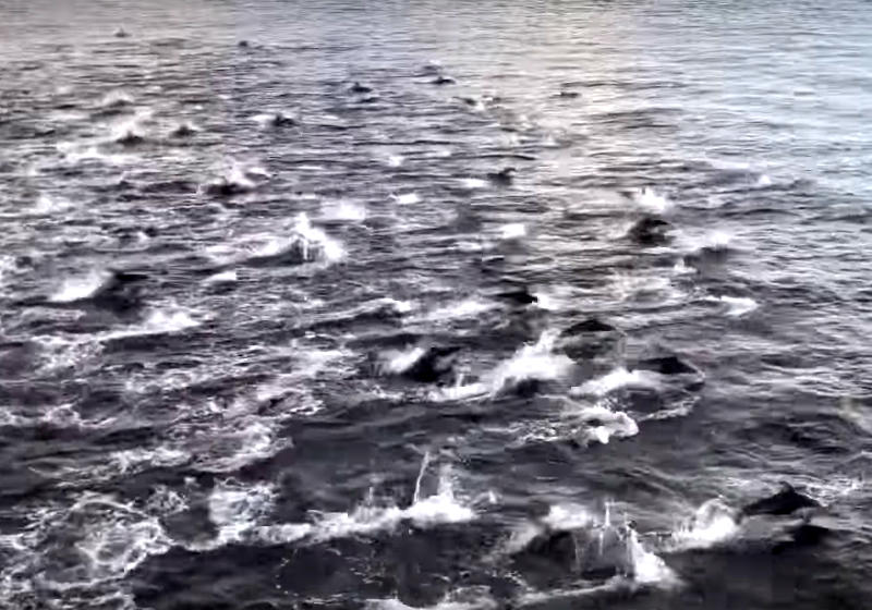 Foto: Reprodução YouTube