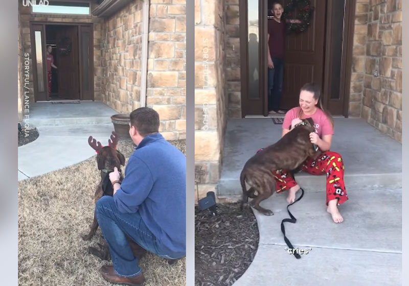 Fotos: reprodução / Facebook / Unilad