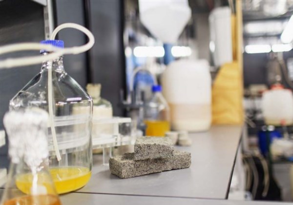 Foto: Robyn Walker / Universidade de Capetwon