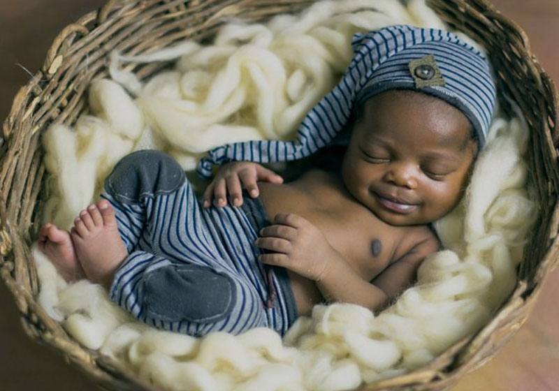 Waldo - Foto: Nilza Rejane/Fotografia|||