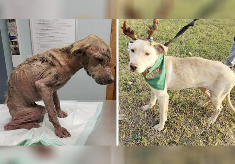 Foto: Reprodução Facebook