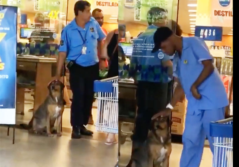 Fotos: reprodução / Youtube