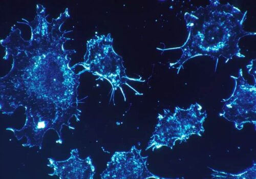 Depressão pode disparar ‘gatilho’ e levar a outras doenças autoimunes, mostra estudo. Foto: Pixabay