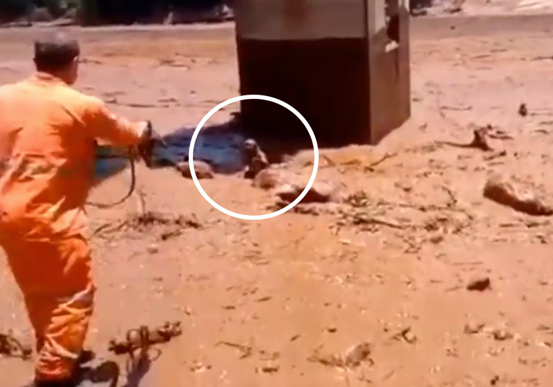 Foto: reprodução / Youtube