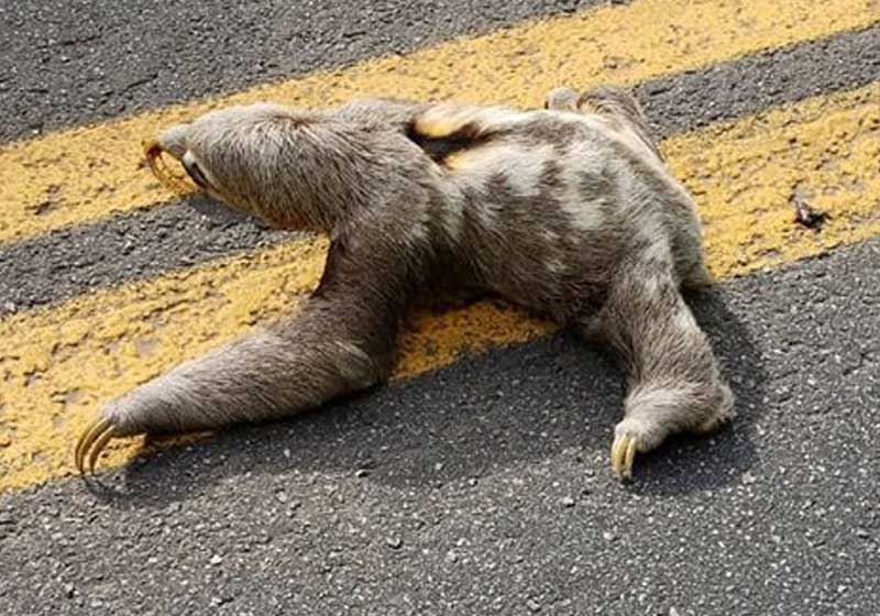 Foto: Sargento Cutinho