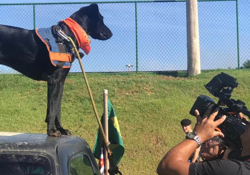 Foto: Mariana Queiroz/GloboNews