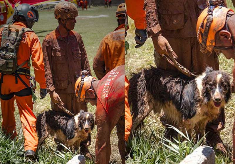 Foto: reprodução / SPInvisível