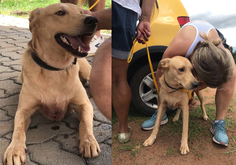 Quintas antes e depois - Fotos: Lorena Fassina/SNB||