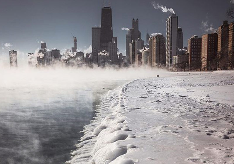 Foto: reprodução / Nature Chicago