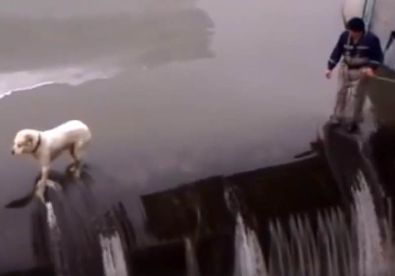 Foto: Reprodução Facebook