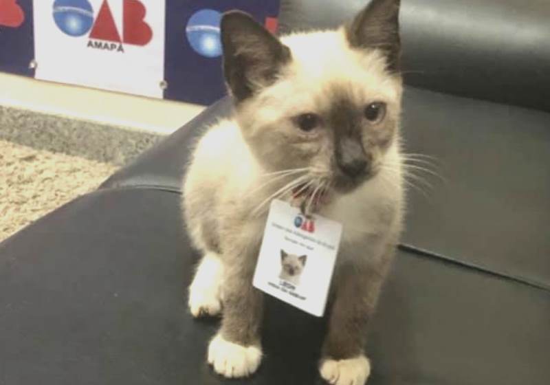 Foto: Reprodução Facebook