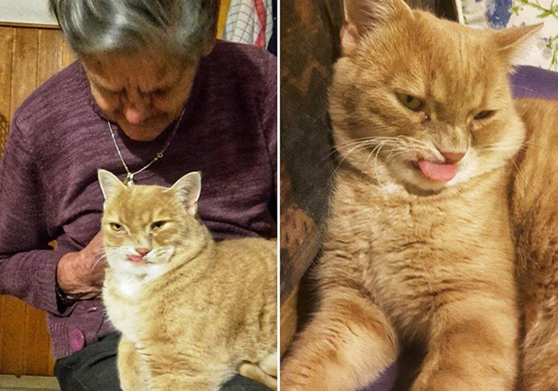 Bob e a idosa viúva - Fotos: reprodução / Reddit|