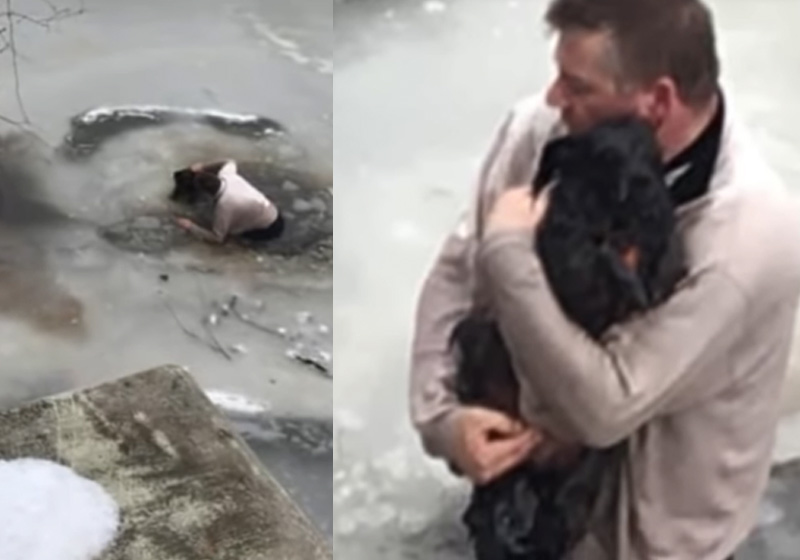 Don Chatten e o cão - Fotos: reprodução WKBWTV