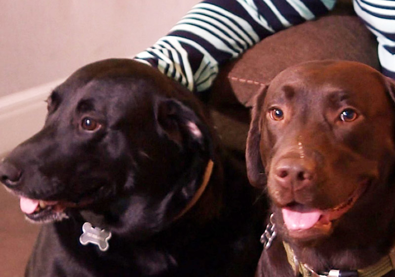 Bella e Sadie - Foto: reprodução / NBC|