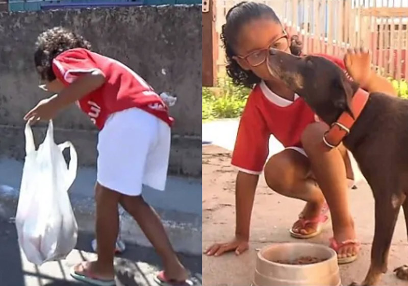 Isabela atuando - Foto: reprodução / AmoMeuPet