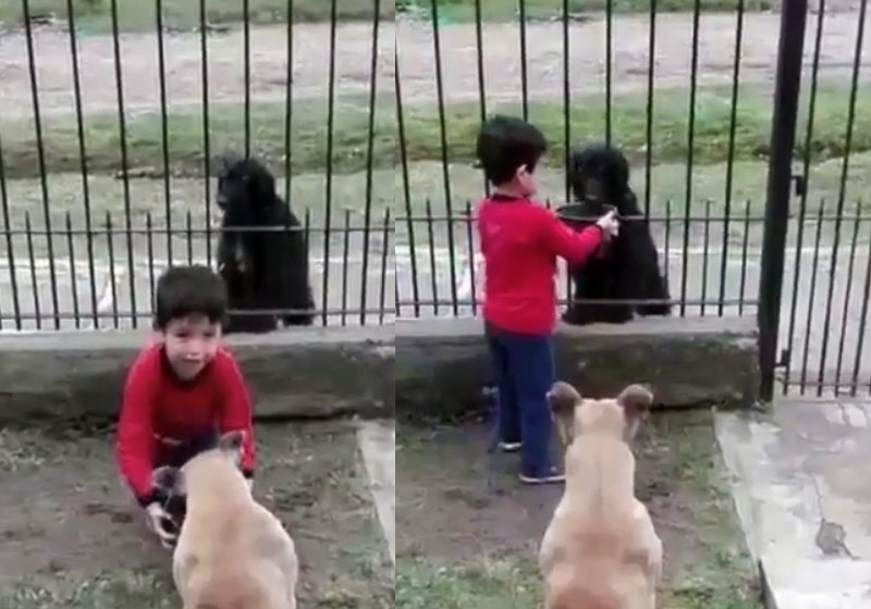 Fotos: reprodução / Instagram / AboutNatureLife|Fotos: reprodução / Instagram / AboutNatureLife