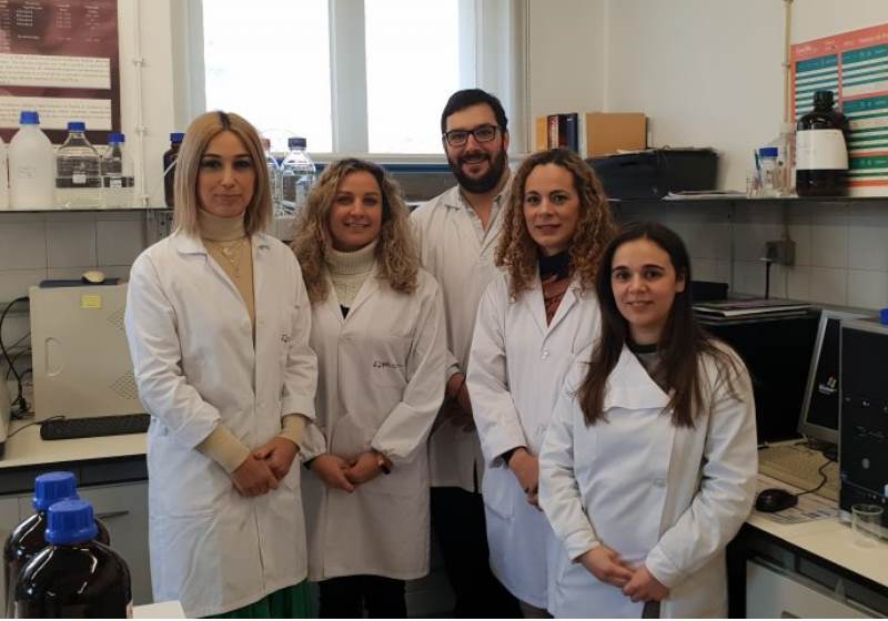 Pesquisadores portugueses Foto: Divulgação|Cogumelos com o spray safe Foto: Divulgação