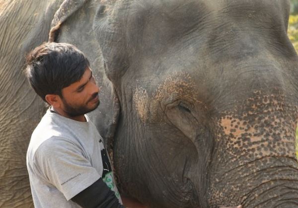 Fotos: Wildlife SOS