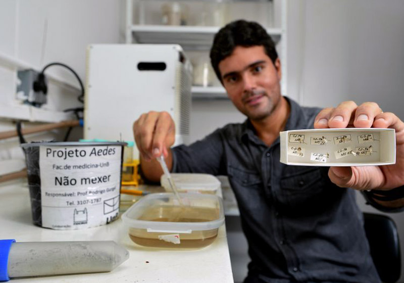 Foto: Marcelo Ferreira / CB / D.A Press