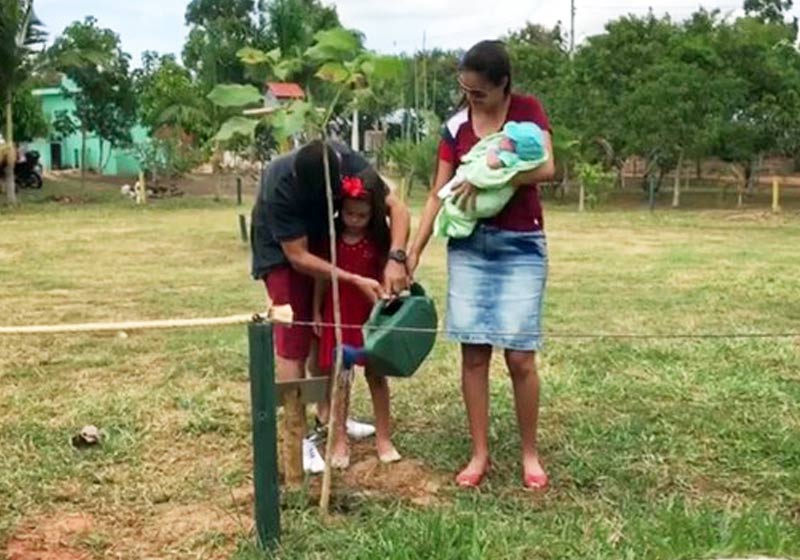 Árvore do Lucas - Foto: Reprodução/ TV Gazeta