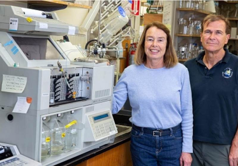 Equipamentos especiais avaliam os extratos das plantas medicinais Foto: Salk Institute|Eriodictyon californicum Foto: Divulgação