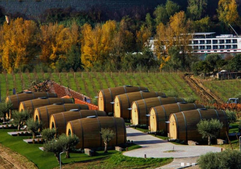 Foto: Divulgação|Fotos: Divulgação||