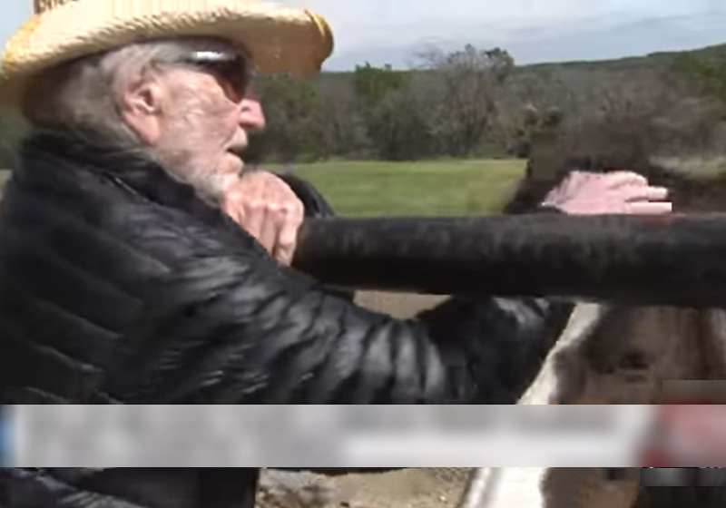 Willie Nelson - Foto: reprodução / KSAT