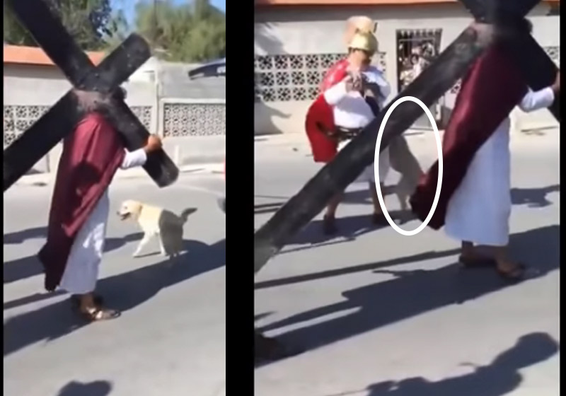 Fotos: reprodução / Youtube / ContrastesTV