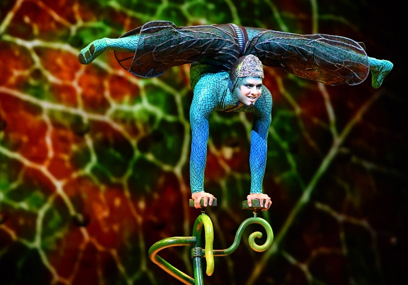 Foto: Divulgação|Foto: Divulgação||