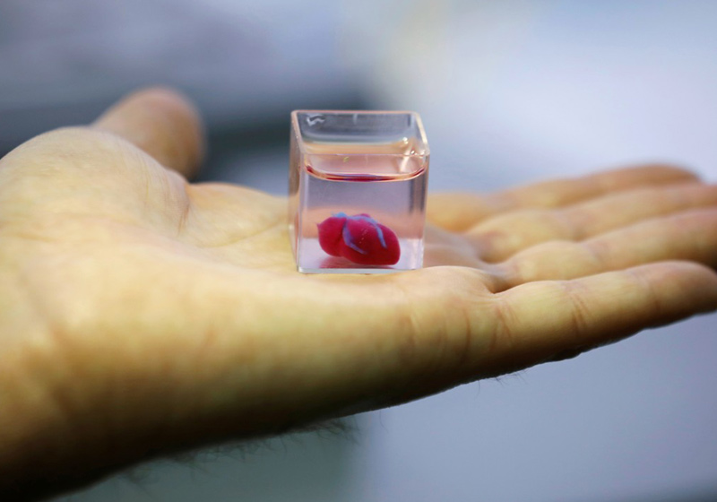 Coração 3D - Foto: REUTERS/Amir Cohen