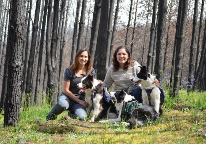 Foto: reprodução||||