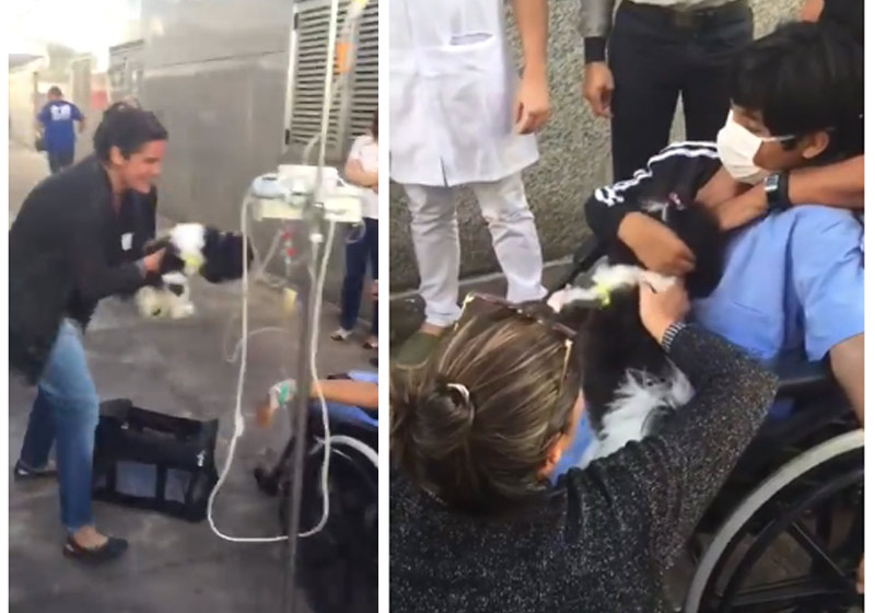 Fotos: reprodução autorizada / Christiane Gnone||