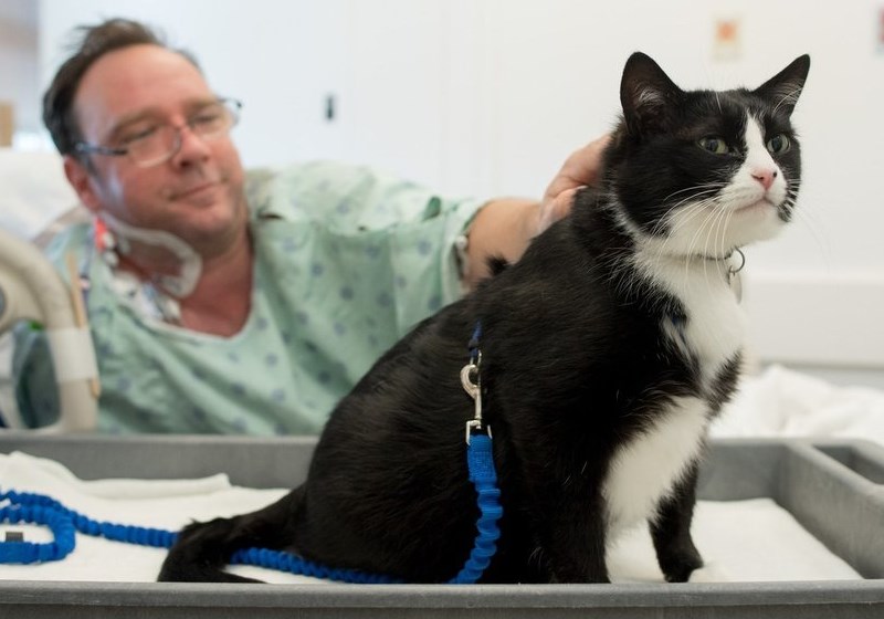 Foto: The Dodo|Isa e Duke Foto: Reprodução|Fotos: The Dodo||