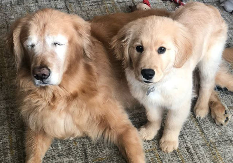 Foto: reprodução / Instagram|||