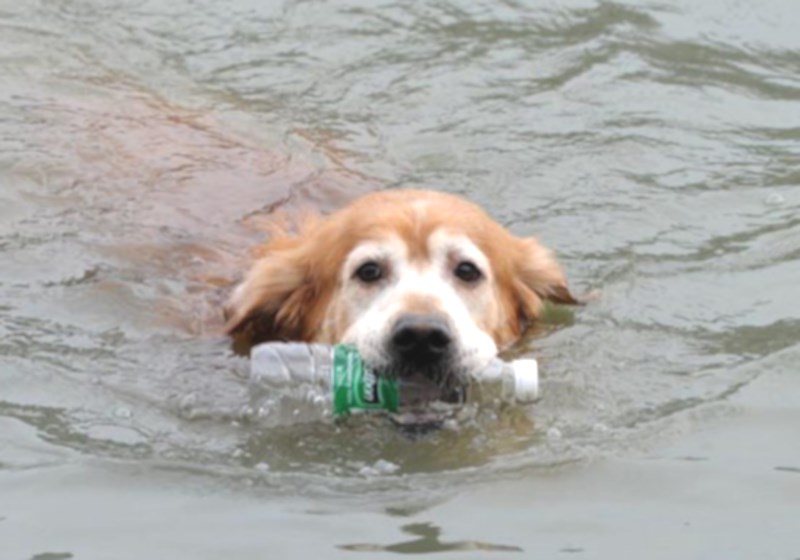 Foto: reprodução|Foto: reprodução||