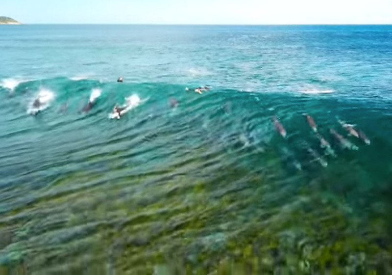 Foto: Shaun Petersen