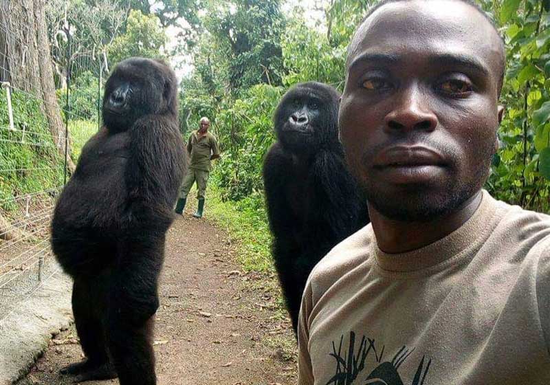 Foto: reprodução / Facebook / Ranger Mathieu Shamavu / The Elite AntiPoaching Units And Combat Trackers.