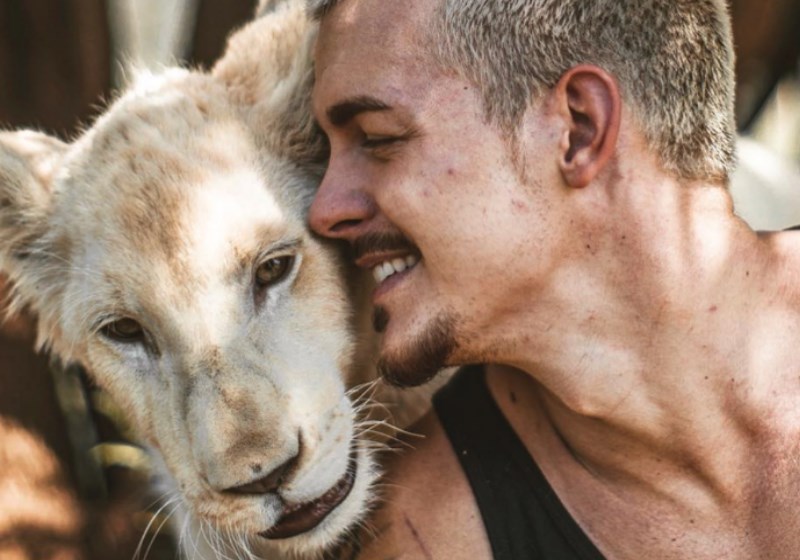Homem interagindo com leões se diz 'pastor', mas é tratador de animais