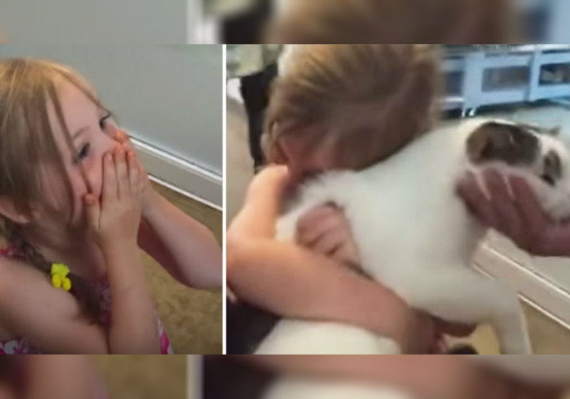 Foto: Reprodução YouTube|Claudia e Cursor Foto: Facebook