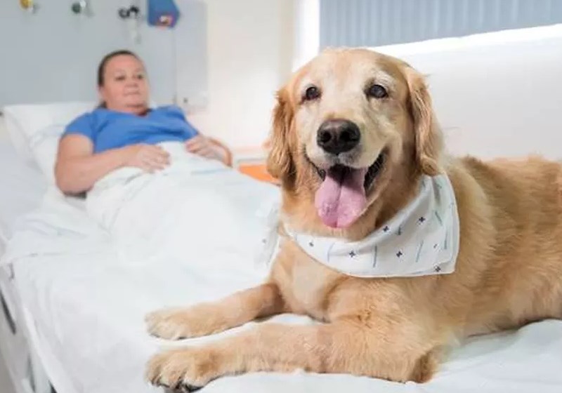 Phoebe e a dona Marieta Pasqualot Foto: Divulgação/PUCRS