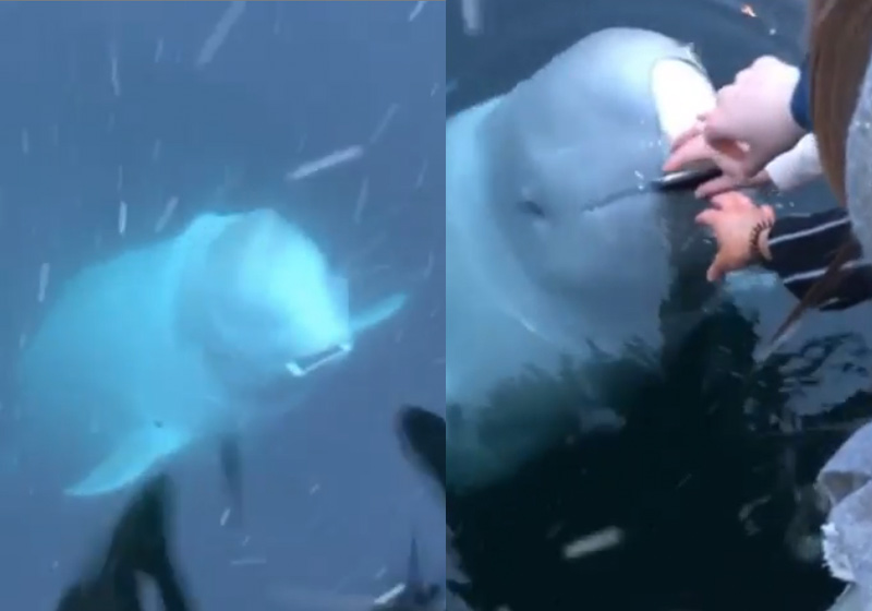 Fotos: reprodução / Instagram