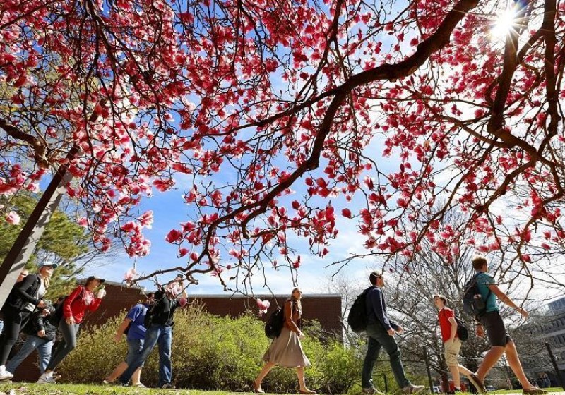 Foto: Christopher Gannon/Iowa State University