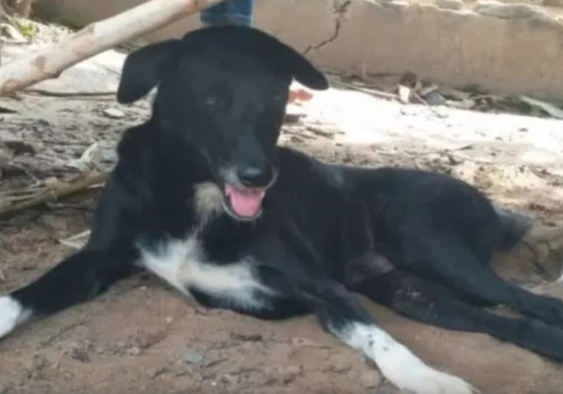 Foto: reprodução youtube|Foto: reprodução youtube