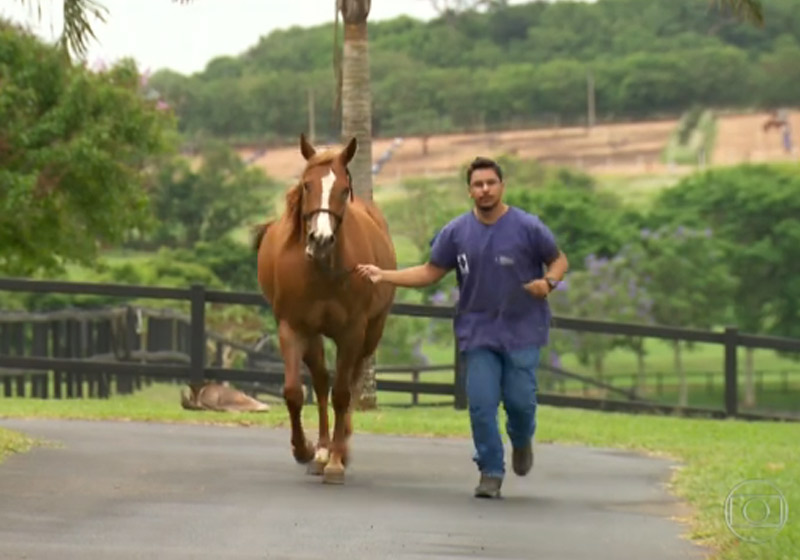 Foto: reprodução / TV Globo