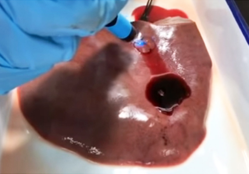 Foto: reprodução / Youtube / NPG Press